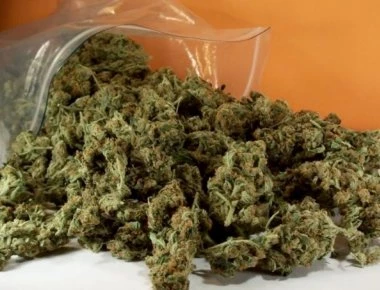 «Και με το νόμο» η καλλιέργεια της (φαρμακευτικής) κάνναβης